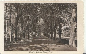 Norfolk Postcard - Walk's Avenue - Kings Lynn - Ref TZ6345