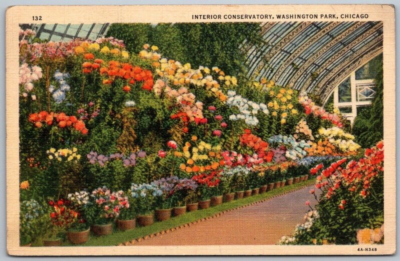 Chicago Illinois 1940s Postcard Interior Conservatory Washington Park