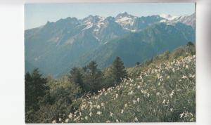 BF31313 luchon superbagneres vue deu plateau de superba  france front/back image