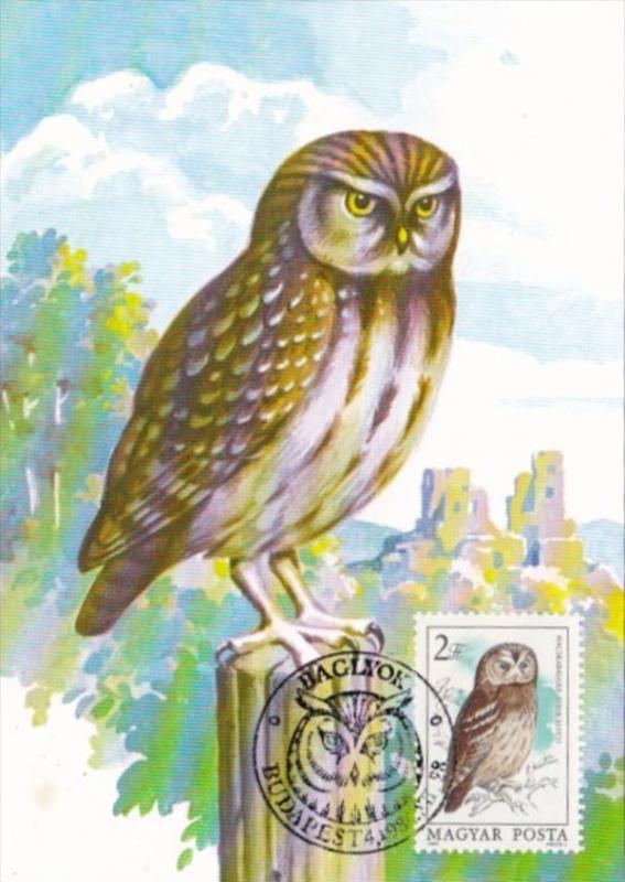 Birds Owls Hungary Stamps On Postcards