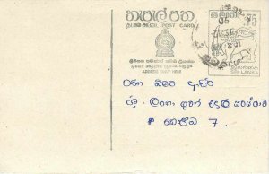 Entier Postal Stationery Postal Sri Lanka Ceylon Lion