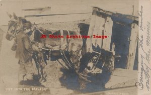 PA, Pittston? Pennsylvania, RPPC, Bringing the Mules out of Mine, Mining, Harris