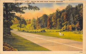 TENNESSEE 1941 Postcard One Of The Good Roads Through Tennesee