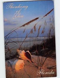 Postcard Thinking of You Beautiful Dunes Sea Oats & Lovely Shells Florida USA