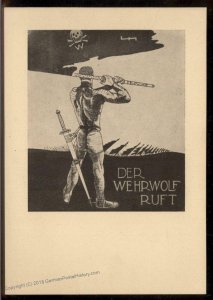 Germany Pre 3rd Reich The Werewolf Calls SA SS Propaganda Card 93394