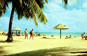 Florida Key West Beach Scene