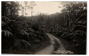 RPPC Postcard Hawaii Fern & Ohia Forest Volcano National Park Big Island c1930