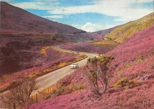 B97106 the slochd pass inverness shire scotland