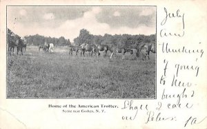 Home of the American Trotter in Goshen, New York