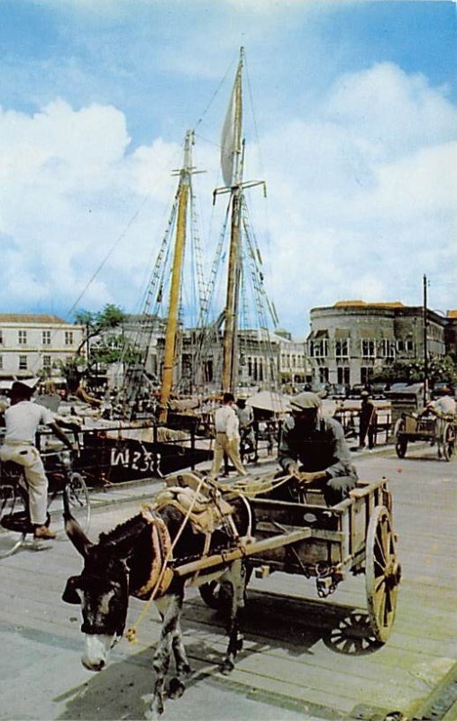 Donkey Cart, Chamberlain Bridge Bridgetown Barbados West Indies Unused 