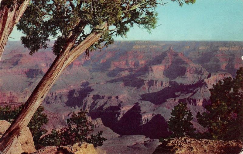 Grand Canyon National Park Arizona @ Yavapai Point~1964 Postcard