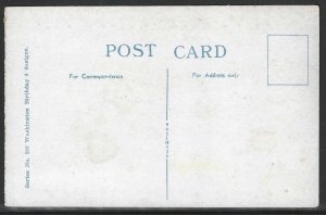 Washington's Birthday, Feb. 22, Early Postcard, Unused