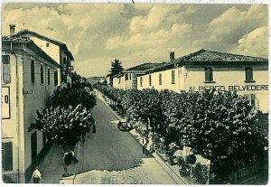 Vintage postcard BOLOGNA province: Lizzano in Belvedere 1955-