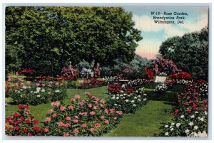 c1950's Rose Garden Brandywine Park Wilmington Delaware DE Vintage Postcard