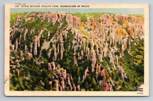 Totem Section Rhyolite Park Arizona Vintage Unposted Linen Postcard