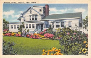 Chester New Jersey 1940s Postcard Melrose Farms