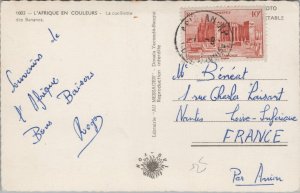 Africa L'Afrique en Couleurs La cueillette des Bananes Vintage RPPC B138