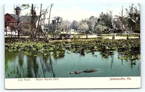 JACKSONVILLE, FL Florida ~ WATER WORKS PARK Lily Pond c1900s  Postcard