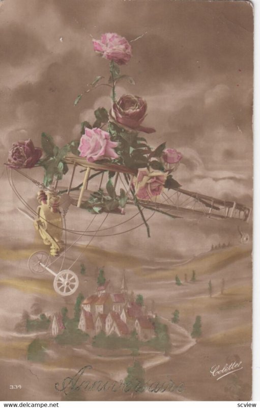 RP: Rose decorated Bi-Plane Greetings , 00-10s