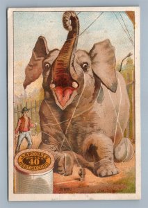 J & P COAT'S SPOOL COTTON VICTORIAN TRADE CARD w/ ELEPHANT