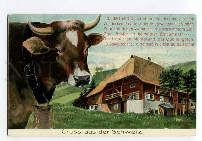 264676 Gruss aus SWITZERLAND Cow House Vintage EMBOSSED PC