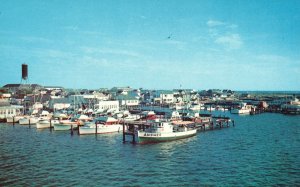 Vintage Postcard Fisherman's Paradise Fishing Docks Ocean City Maryland Carlin