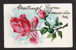 ME Greetings from THOMASTON MAINE Postcard PC Roses