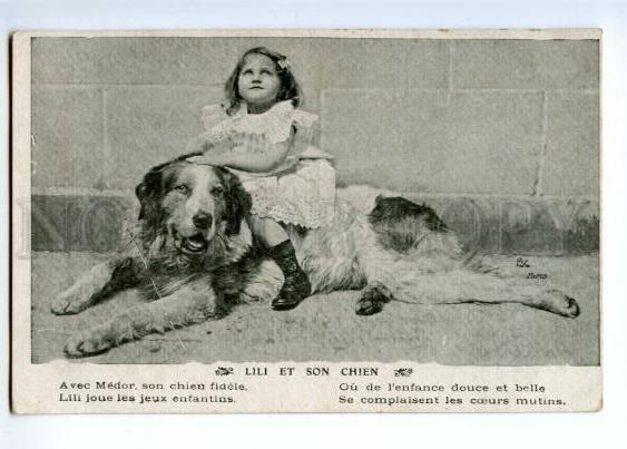 145750 Saint BERNARD Girl LILI on Dog St. Bernard Vintage PC