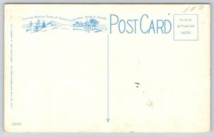 Animal~Sarasota Florida~Ringling Bros Winter Quarters~Foreign Deer~1920s PC