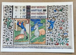 UNUSED PC - DECEMBER, KILLING PIGS, CAPRICORNUS - THE BRITISH LIBRARY, ENGLAND