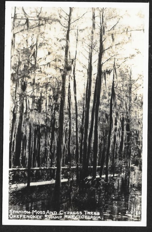 Spanish Moss & Cypress Trees Okefenokee Swamp Park Georgia RPPC Unused c1940s