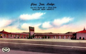 USA Pine Tree Lodge Gallup New Mexico Chrome Postcard 09.83