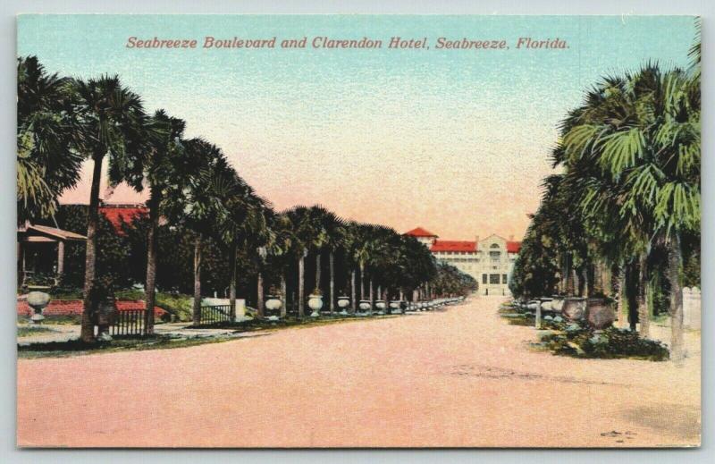 Seabreeze Florida~Seabreeze Boulevard Homes~Dead Ends at Clarendon Hotel~c1910 