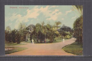 SINGAPORE, BOTANIC GARDENS, c1910 ppc., unused.