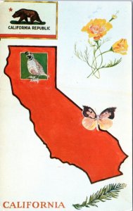 Postcard California State Card Lucy Turner Capitol Flower Bird Nickname Motto