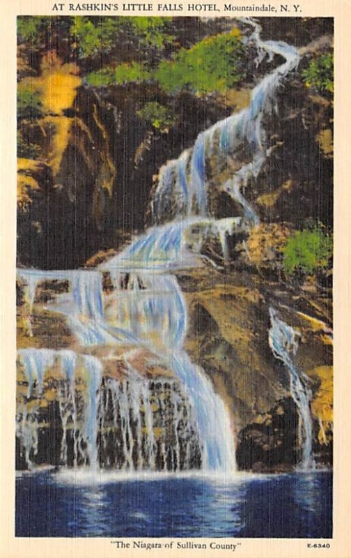 The Niagara of Sullivan County Mountaindale, New York USA Unused 