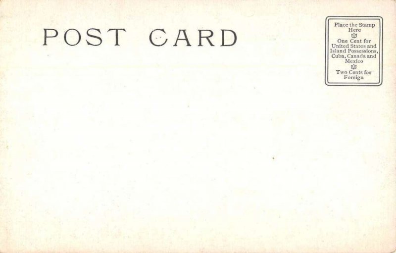 Japan Chatsumi Tea Leaf Gathering Vintage Postcard AA29024