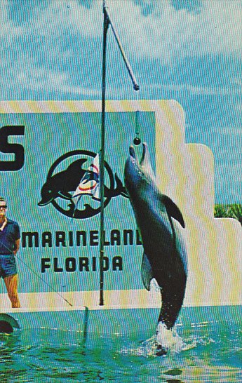 Florida Marineland Splash Raises The Flag