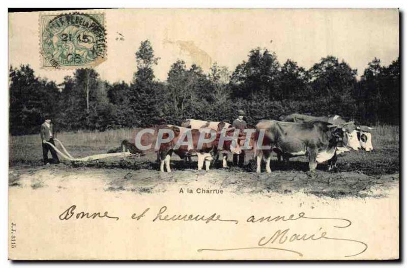 Old Postcard Folklore At Beoufs plow