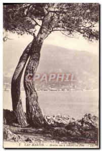 Old Postcard Cap Martin Menton view through the pines