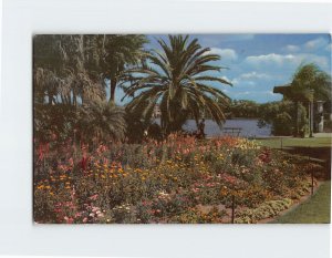 Postcard Tropical Palms And Flowers, Cooling Lakes, That's Orlando, Florida