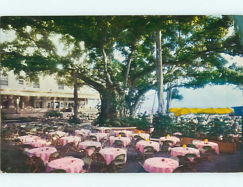 1960 Banyan Court Lanai Restaurant Honolulu Hawaii HI r0889