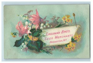 1870's Engraved Crosman Bros. Seed Merchants Victorian Trade Card P10