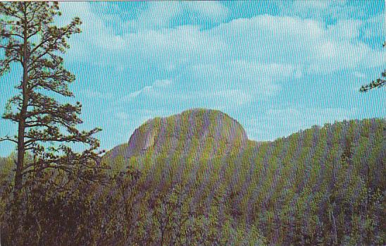 Looking Glass Rock Pisgah National Forest Western North Carolina