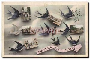 Old Postcard Souvenir De Juvisy Swallows