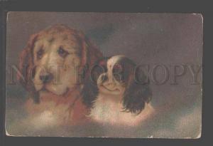 3096473 KING CHARLES Spaniel & HOUND Vintage FELDPOST 1917 y PC