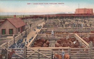 Oregon Portland Cattle At The Union Stock Yards