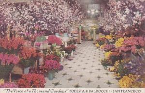 Flower Display Podesta & Baldocchi Florists San Francisco California