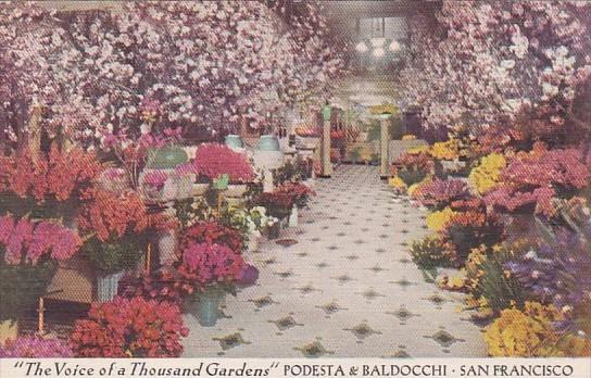 Flower Display Podesta & Baldocchi Florists San Francisco California