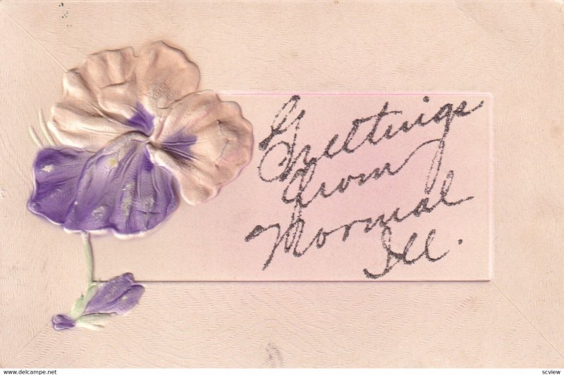 NORMAL, Illinois, 1900-1910s; Embossed Flower, Glitter Decoration